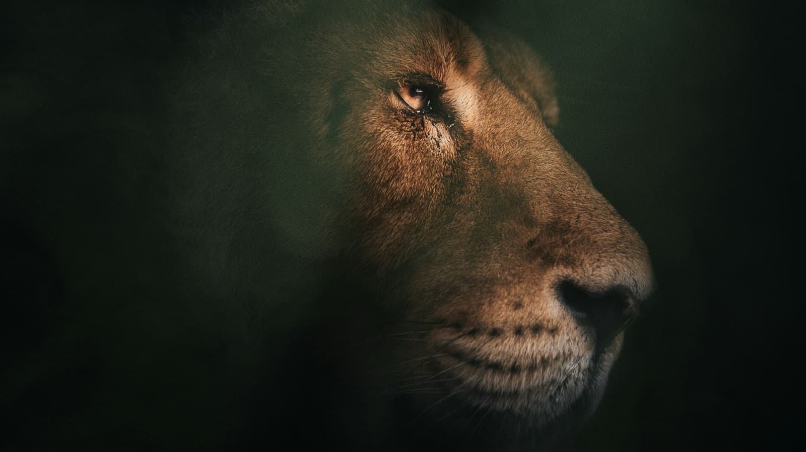 Új statikus oldal, hurrá